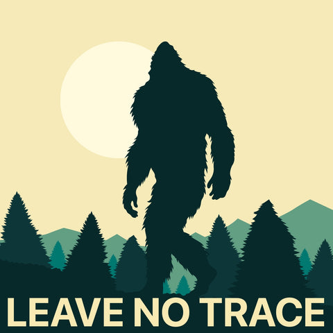 Being like Bigfoot - Trying To Lessen Our Impact